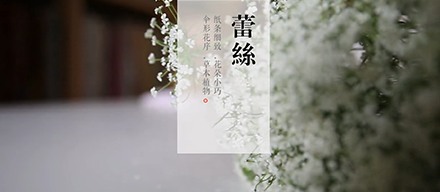 幾分鐘插花課堂，如何用水杯打造浪漫花球？